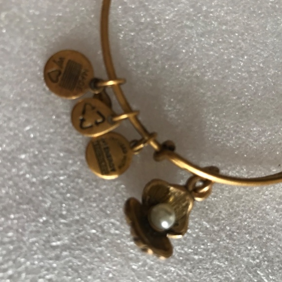 Alex and Ani Expandable Wire Bracelet - Picture 4 of 7